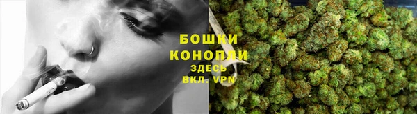 соль ск Ладушкин