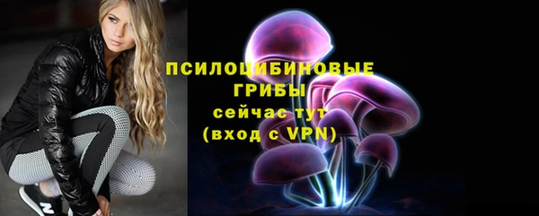 дурь Богородицк
