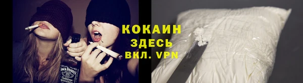дурь Богородицк